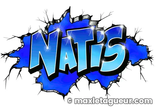 Graffiti blaze Natis bleu et gris – lettrage graffiti – style 3 – Max Le Tagueur – 2018