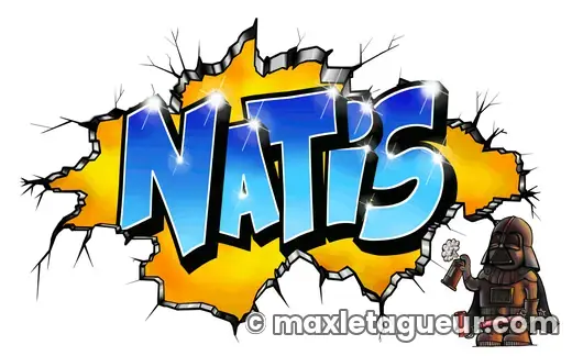 Graffiti blaze Natis gris et bleu – lettrage graffiti – Max Le Tagueur